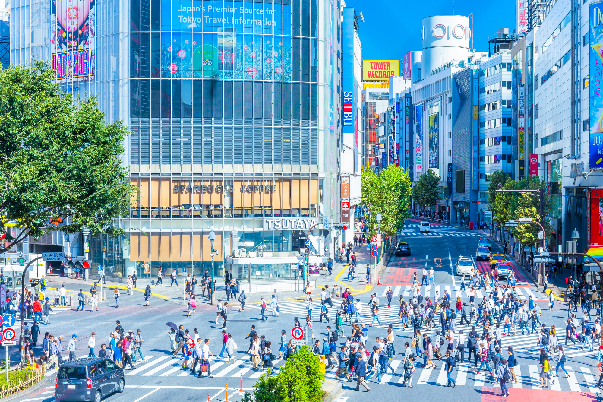 既存の顧客分析から売上のヒントを見つける