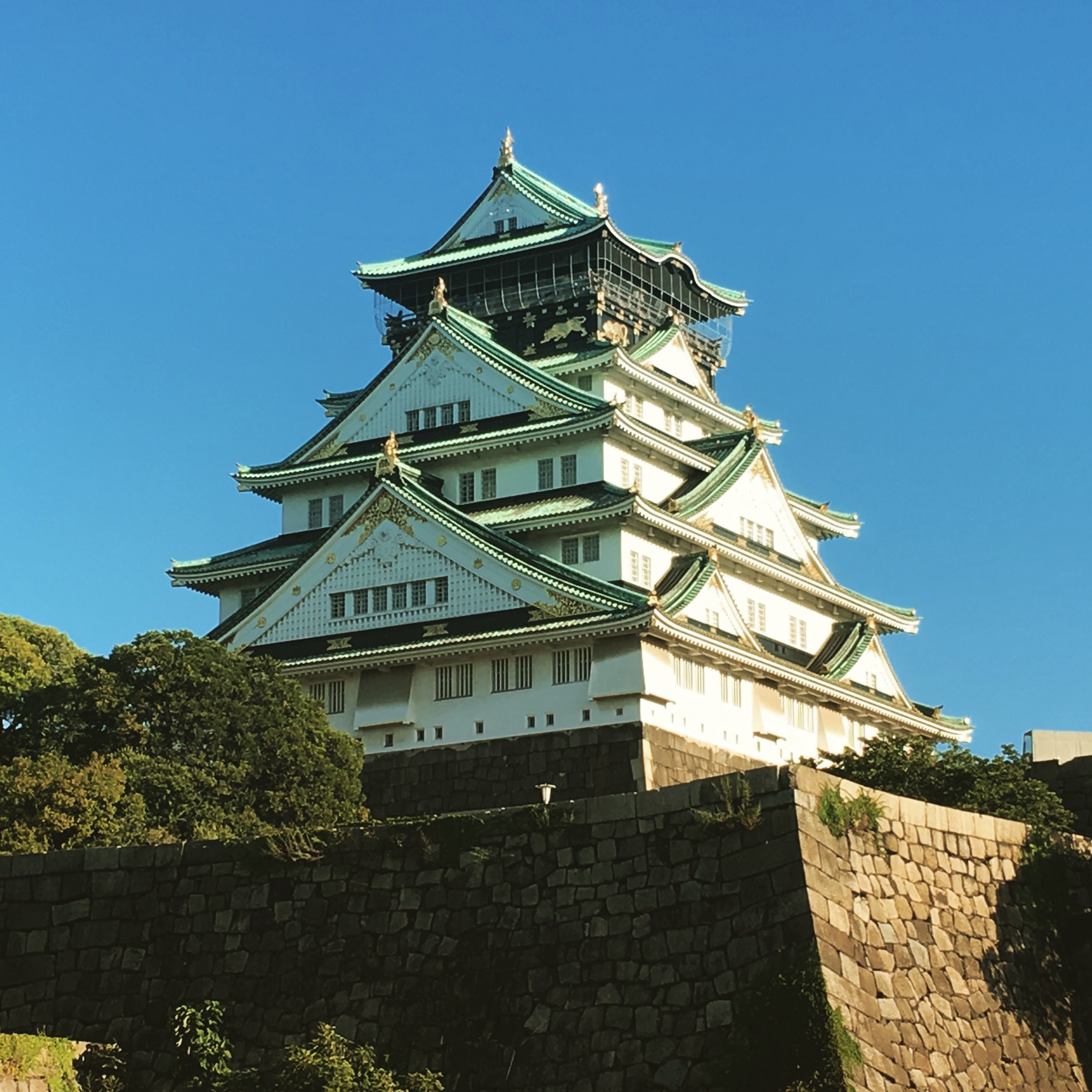 大阪ならではのSEO対策にお答えします